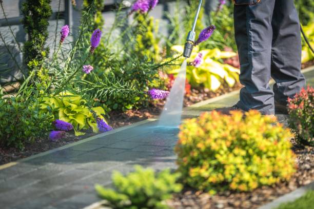 Best Patio and Deck Pressure Washing  in Myrtle Point, OR